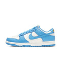 Nike Dunk Low trainers "Coast"