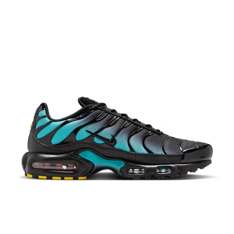 Nike Air Max Plus "Black & Dusty Cactus"