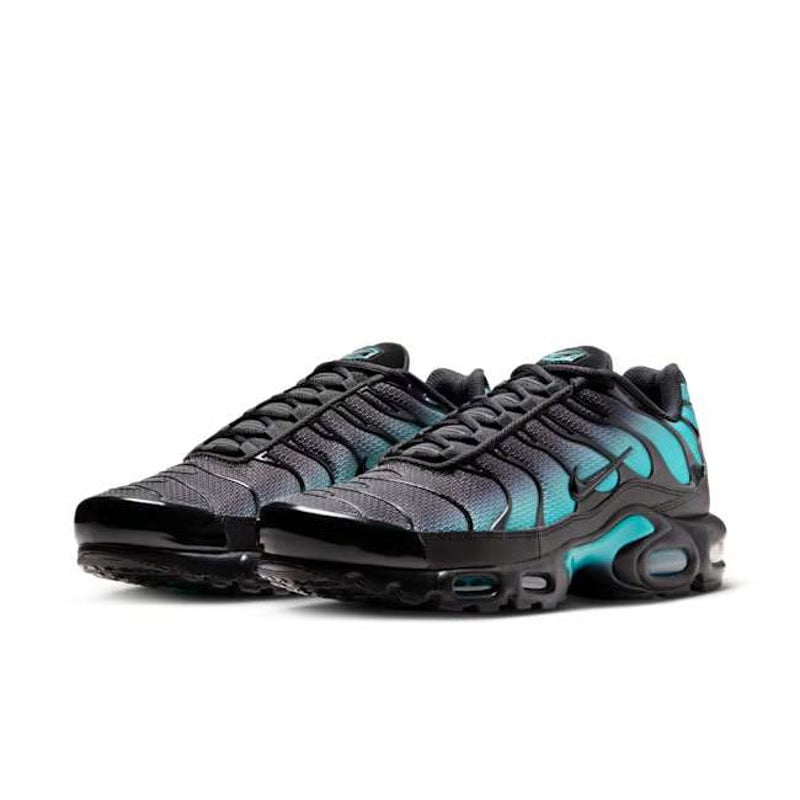 Nike Air Max Plus "Black & Dusty Cactus"