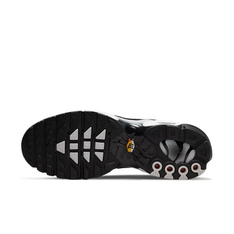Nike Air Max Plus "Black & Metallic Silver"