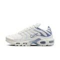 Nike Air Max Plus trainers "Ashen Slate"