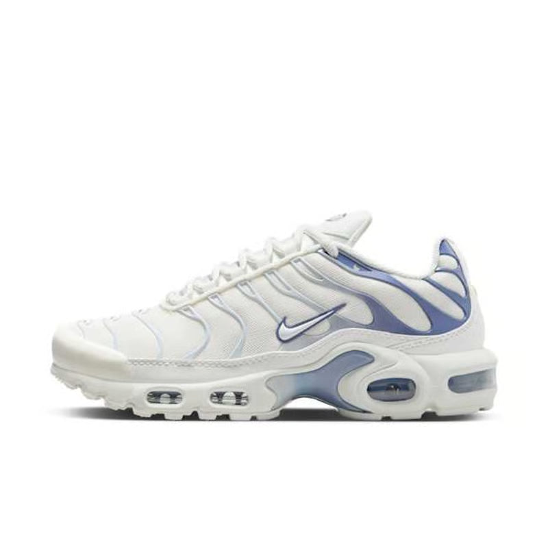 Nike Air Max Plus trainers "Ashen Slate"