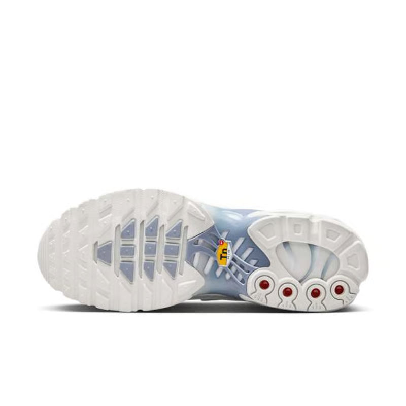 Nike Air Max Plus trainers "Ashen Slate"