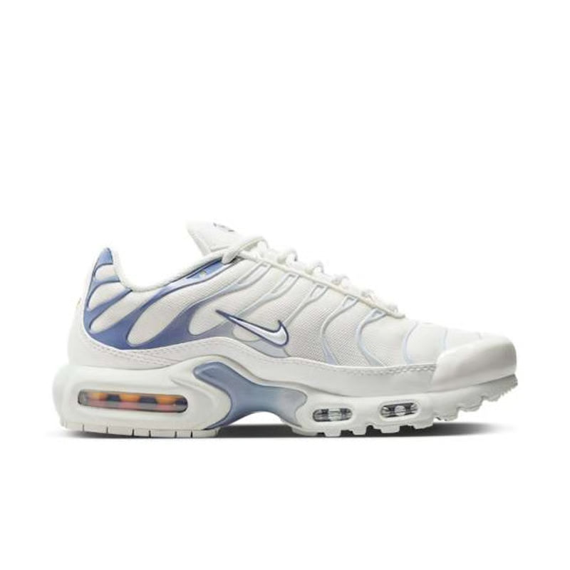Nike Air Max Plus trainers "Ashen Slate"