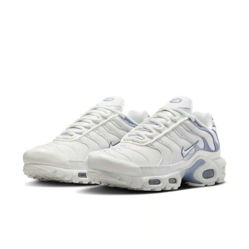 Nike Air Max Plus trainers "Ashen Slate"