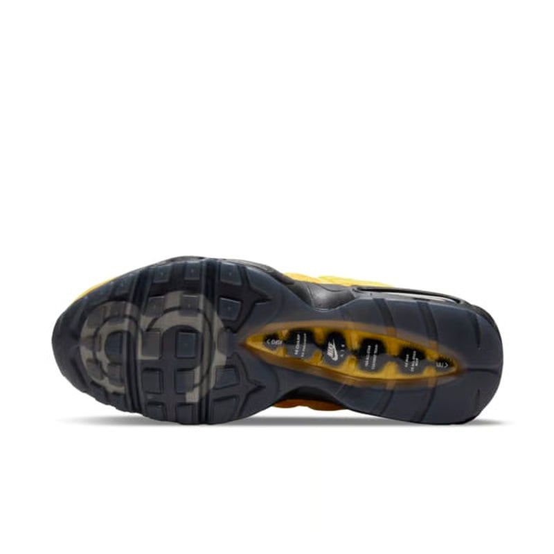 Nike Air Max 95 NRG x LeBron James "Home Team"