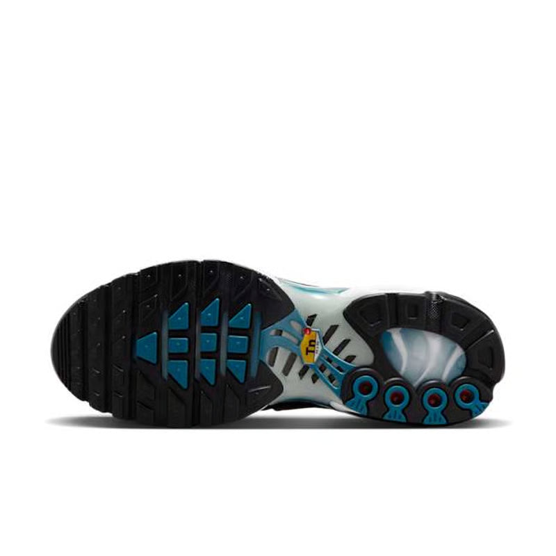 Nike Air Max Plus "Black & Dusty Cactus"