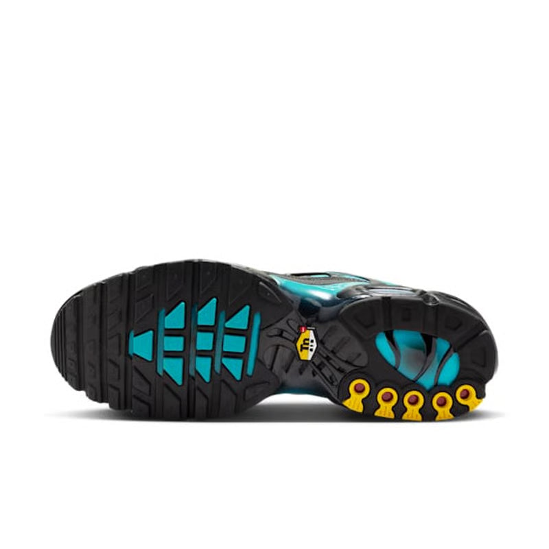 Nike Air Max Plus "Black & Dusty Cactus"