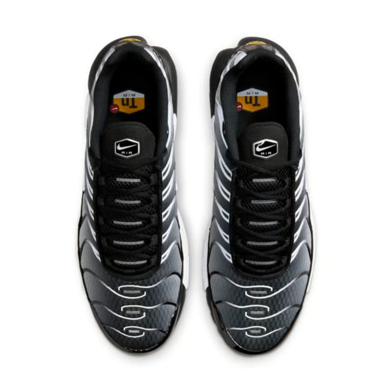 Nike Air Max Plus  "Black & Metallic Silver"